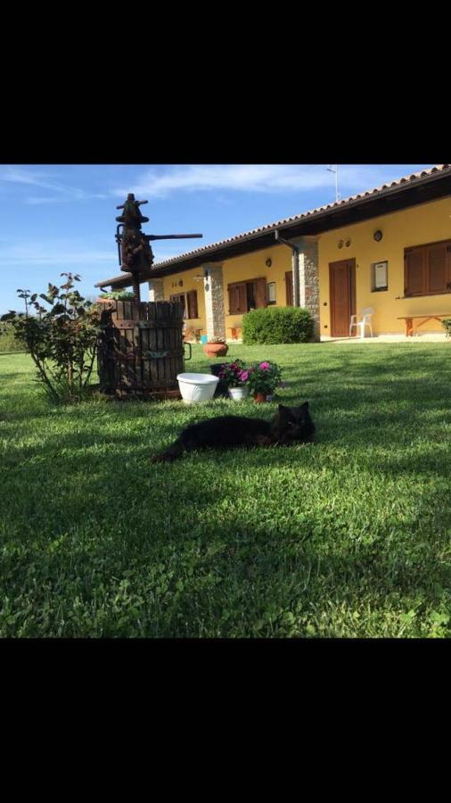 Agriturismo La Noce Bassano Romano Exterior photo